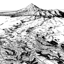 Load image into Gallery viewer, NEW PLYMOUTH ART PRINT