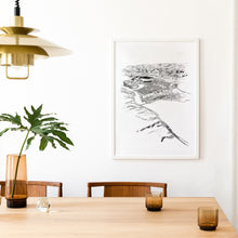 Load image into Gallery viewer, A black and white illustrated print of Cromwell laid out on white paper within a wooden frame, against a white wall, above a table setting.